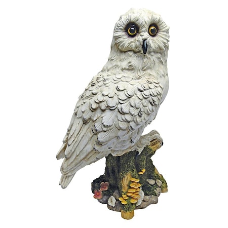 Design Toscano Mystical White Owl Statue QM12509